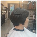 피데스헤어
