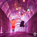 숲속아이 3 이미지