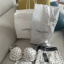 코데즈컴바인이너웨어롯데백화점