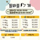 돌봐줄개 네이버블로그