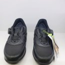 슈올즈 괴정점 이미지