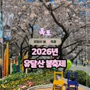 마인계터1 | 유달산봄축제 일정과 장소 주요 프로그램 체험 후기 목포 여행 2026년