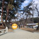 혜성행정사무소 이미지