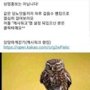 (14회) 이미지