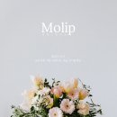 몰리뷰티 이미지