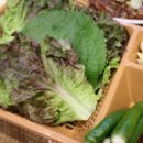 동나무집 이미지