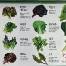 지선생 쌈촌 이미지