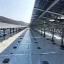 부안상영태양광발전소 | 전 오늘] #양면모듈_태양광발전소_반사매트_반사필름_시공_후기 #전라북도_무주_정읍_부안_고창_익산_김제