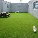 코나펜션 이미지