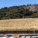 복채농장 | 안동 하회마을 ⛺️🛖🏠🌲
