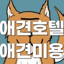 아망도그플레이스 이미지