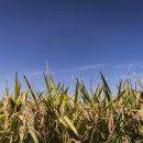 좋은농자재 이미지