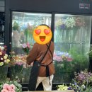 라스카비플라워