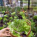 심원농장 이미지