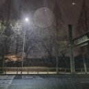 14일의 설레임 이미지