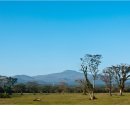 아톰목장 이미지