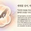 제28회 대구중등교사합창단 정기연주회 | 2026 대구 세대공감 하모니 콘서트 완벽 가이드