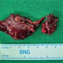 성모신통의원 이미지