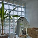 신흥늦장 | 제주 조천읍 감성숙소 독채펜션 감성맛집 신흥늦장 이용후기