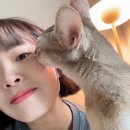 [뷰티] 구파발 봄빛래쉬 - 무쌍의 매력을 살리다! 자연스러운 속눈썹펌 후기!
