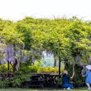 여왕목장 이미지