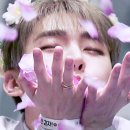 솔로아트 이미지