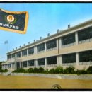 학남초등 이미지