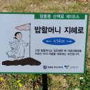 고양밥할머니석상 이미지