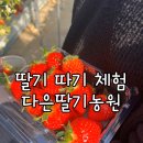 다은농원 이미지