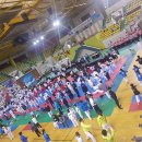 태풍체육관(태권도) 이미지