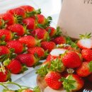 삼례농장 이미지