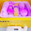 서울새솔유치원 이미지