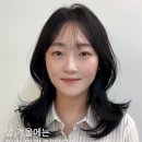 하이디 이미지