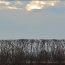 귀래생태공원 이미지