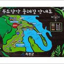 안내보은로 이미지