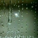 이*비 네이버블로그