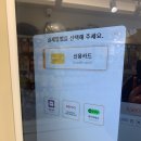 도그마캣광주 - 서구 운천로 43 | 도그마캣광주
