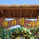 서산수선화관광농원