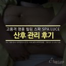 스파루체 이미지