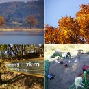 샘골오리농장 이미지