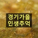 봉도농장 | 경기도 가을 여행 아름다운 가을 추억을 만드세요
