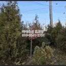 여수대로 이미지