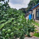 김평진농장 이미지