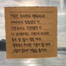 홍천미술관(추가) | 2025년 7~8월 일상 (효도day,더숲소전미술관,홍천용오름캠핑장,수묵당,맥파이앤타이거,대명항,강화노을...