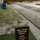 인생찜질