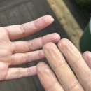 클럽타피올라 | 경기도 양평 :: 클럽타피올라펜션 1박 2일 후기