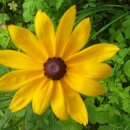 대관령스노우펜션 이미지