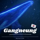 진미디어 | [강릉] 강릉 데이트 코스 '아르떼뮤지엄' 미디어아트 이색데이트 후기❤️