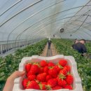 정은농장 이미지