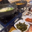 성산포수협 “성산어가” (참치코스 + 모둠회코스) / 내돈내산 재방문 후기